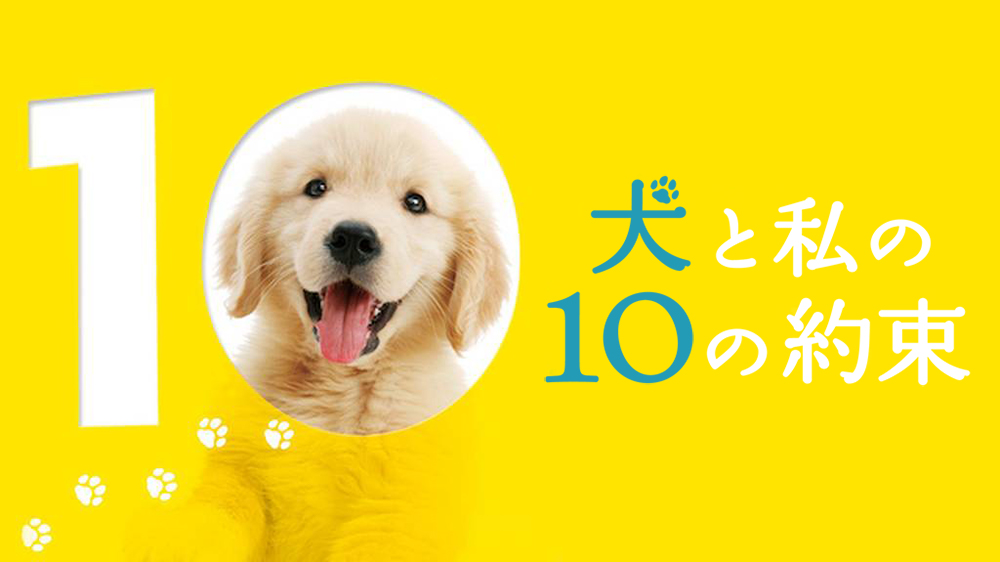 10 Promises to My Dog (2008) - Plex