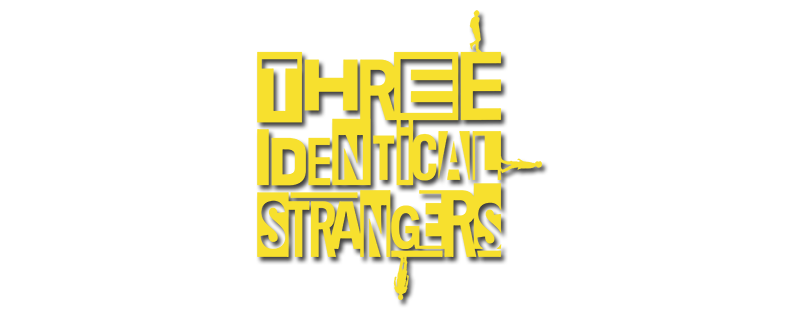 Watch Three Identical Strangers Streaming Online