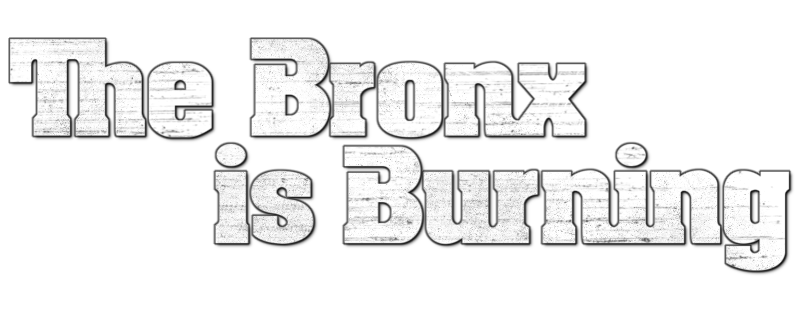 The Bronx Is Burning : John Turturro, Oliver Platt, Daniel Sunjata,  Jeremiah Chechik: Movies & TV 