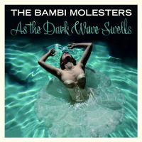 Theme From Slaying Beauty av The Bambi Molesters