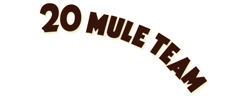 Упряжка из двадцати мулов