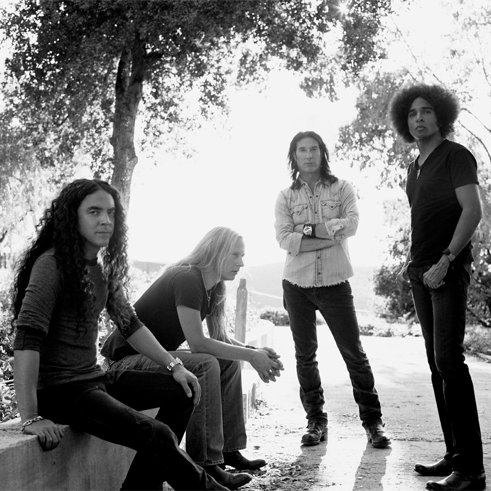 Alice in Chains artist