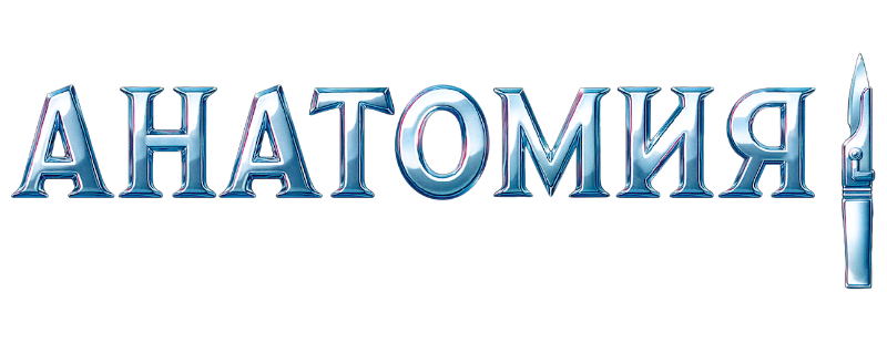 Анатомия