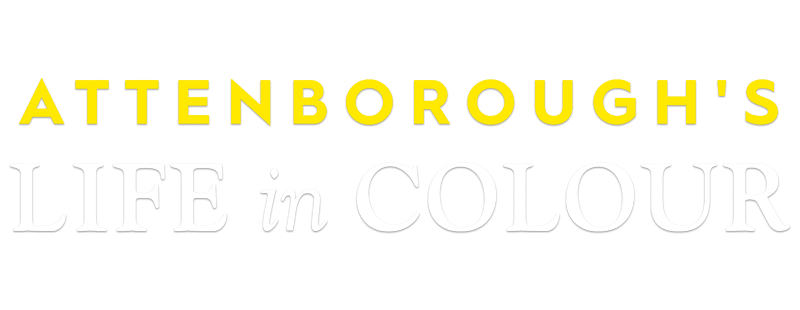 Attenborough's Life in Colour