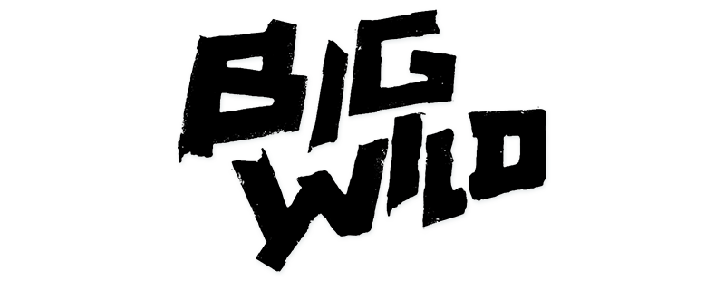 Big Wild logo