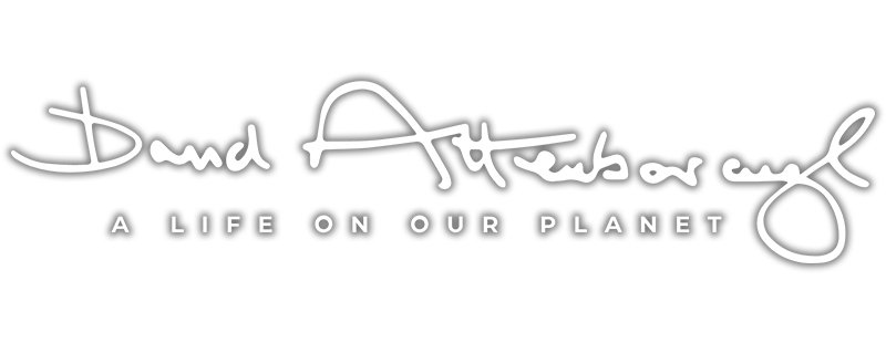 David Attenborough: A Life on Our Planet
