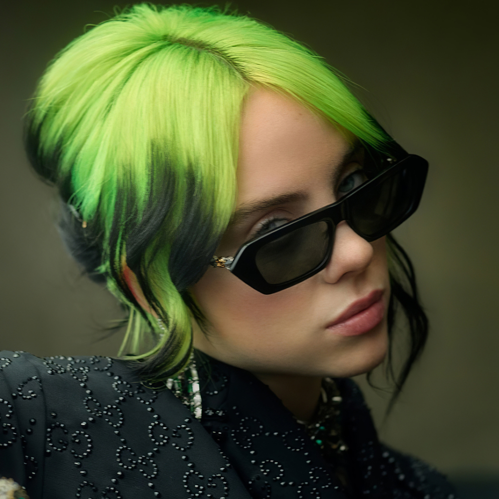 Billie Eilish artist