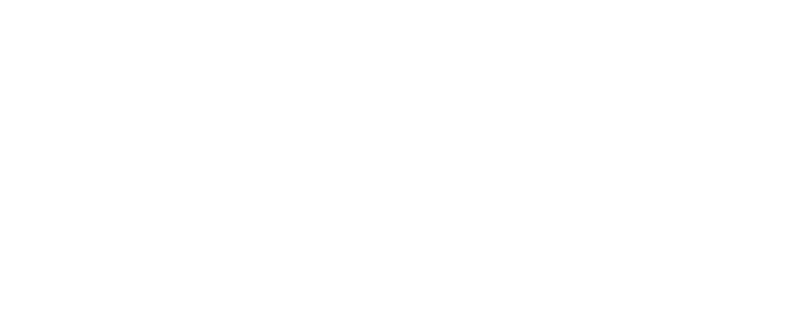 Flypaper