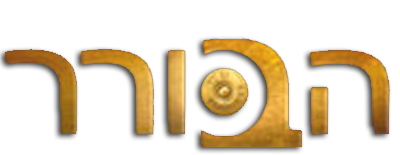 הבורר