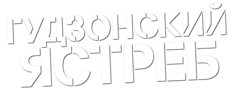 Гудзонский ястреб