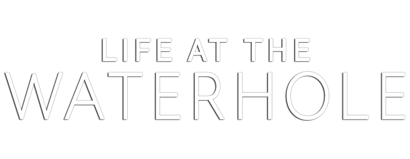 Life at the Waterhole
