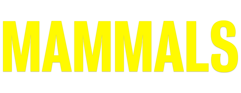 Mammals
