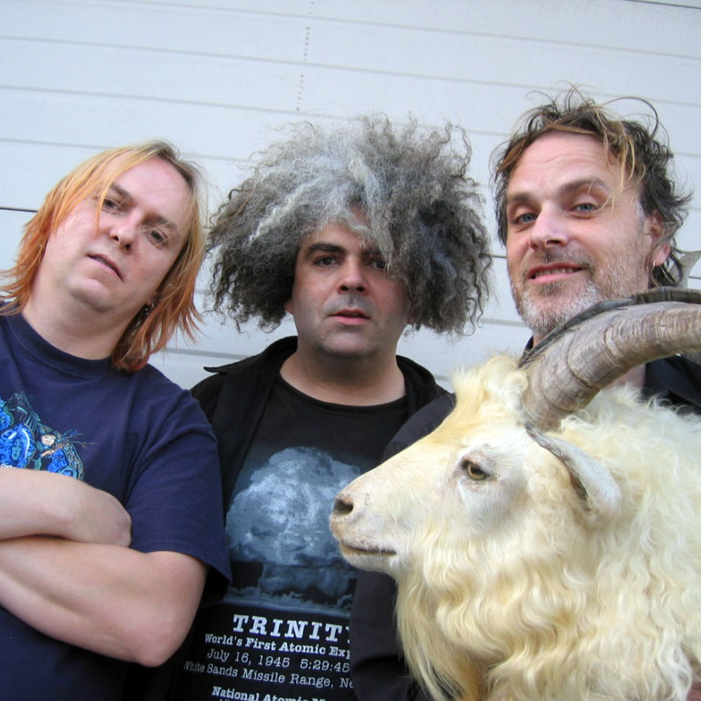Melvins – alternative rock Band