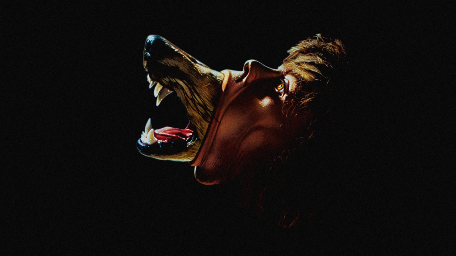 The Company of Wolves hero image