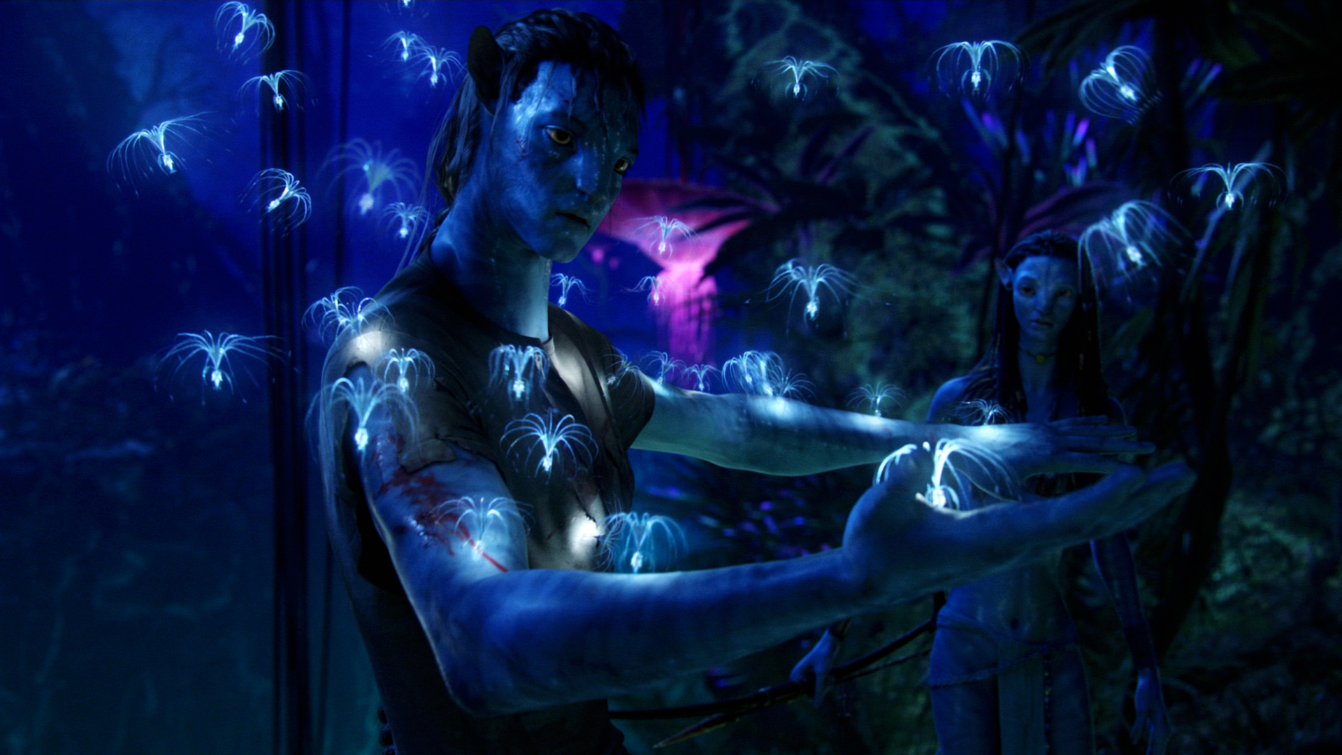 avatar 1080 torrent