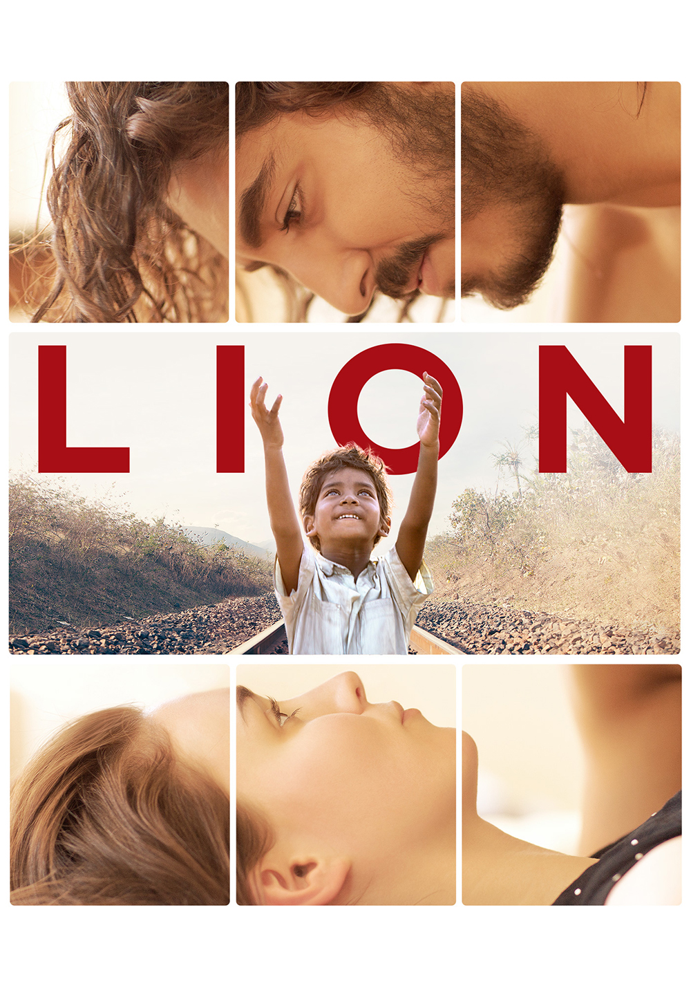 Lion on FREECABLE TV