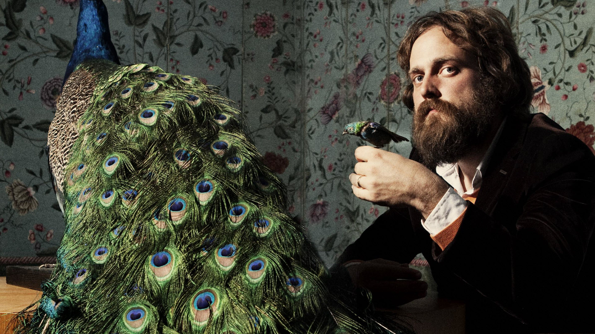 Time After Time av Iron And Wine
