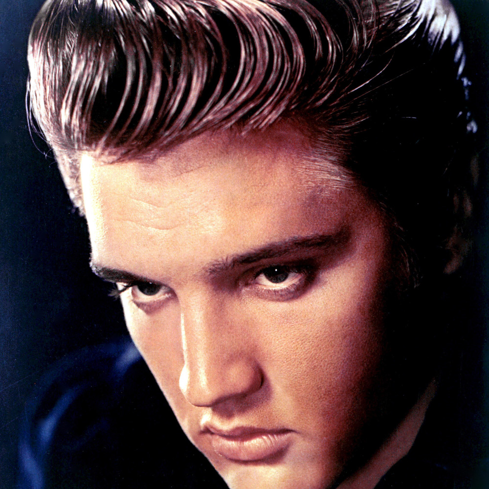 Elvis Presley artist