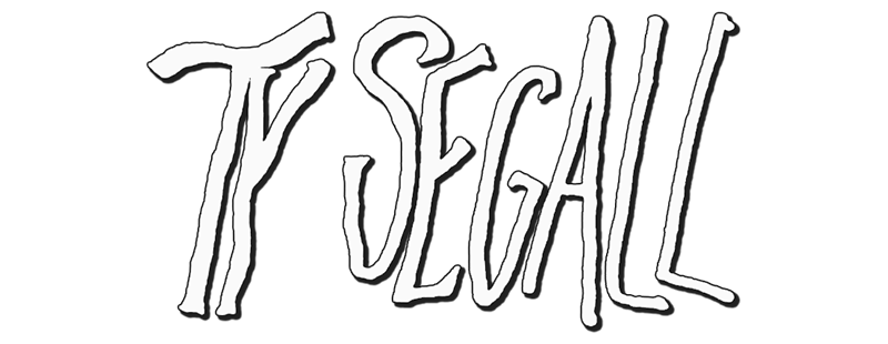 Ty Segall & Mikal Cronin logo