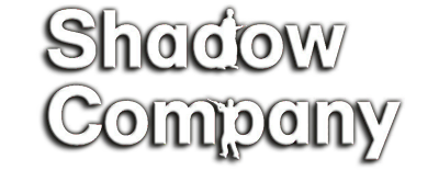 Теневая компания