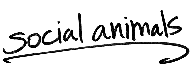 Social Animals