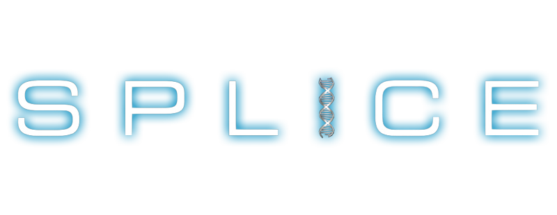 Splice