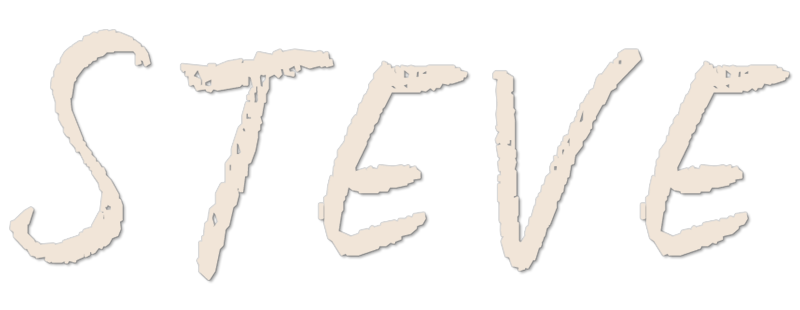 Steve logo