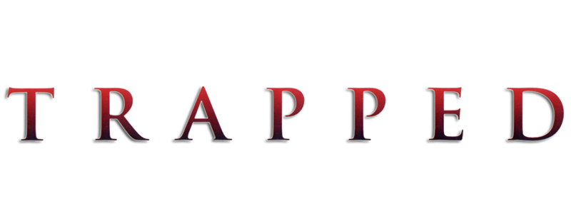 24 часа