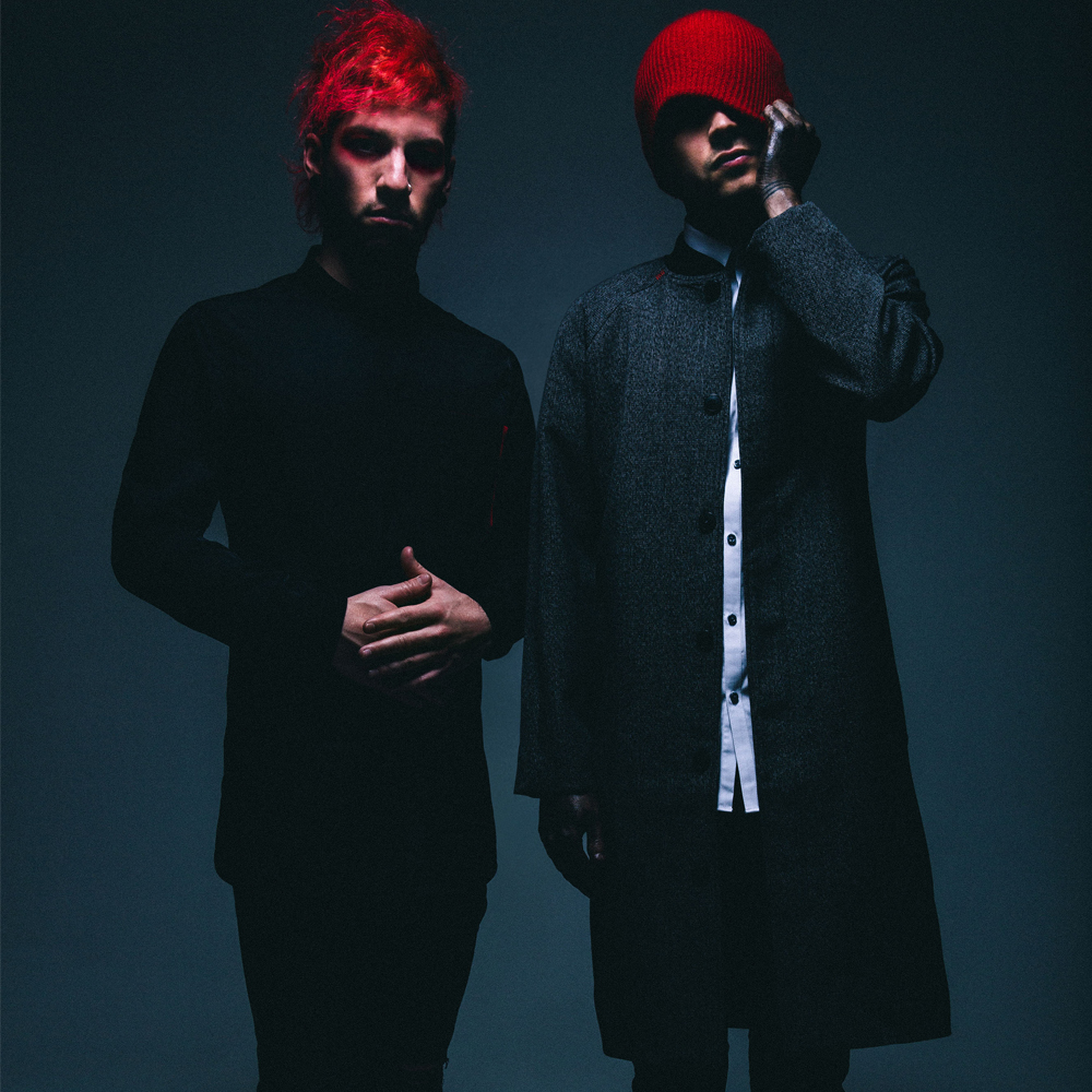 Twenty One Pilots artist