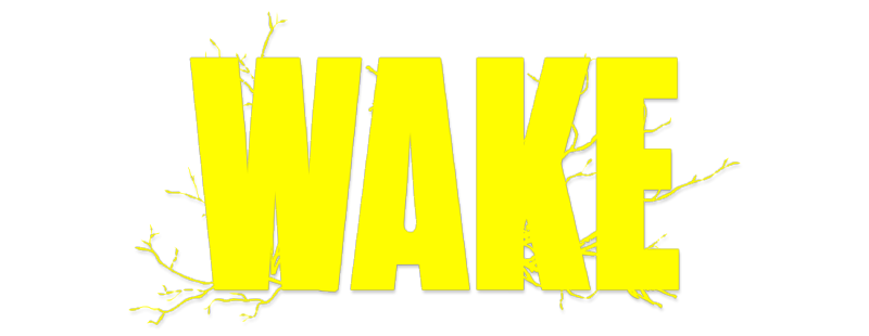 Vaka