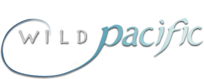 Wild Pacific