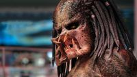 Predator