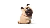 Mascotas 2
