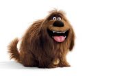 Mascotas 2