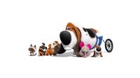 Mascotas 2