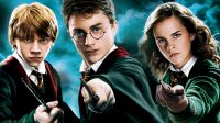 Harry Potter y la Orden del Fénix