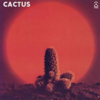 High In The City av Cactus