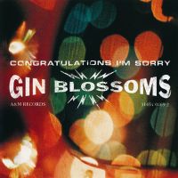Hey Jealousy av Gin Blossoms