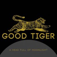 Blueshift av Good Tiger