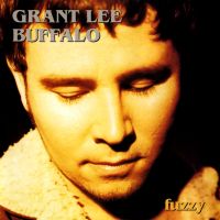 The Whole Shebang av Grant Lee Buffalo