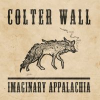 Sleeping On The Blacktop av Colter Wall