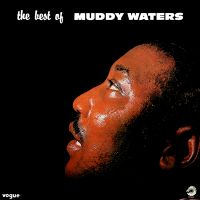 What's The Matter With The Mill av Muddy Waters